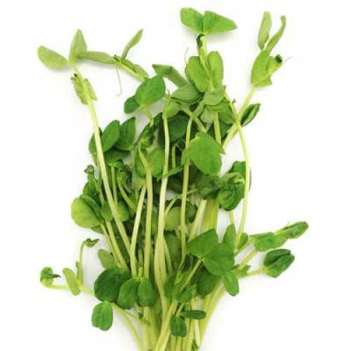 PEA SPROUT 150G