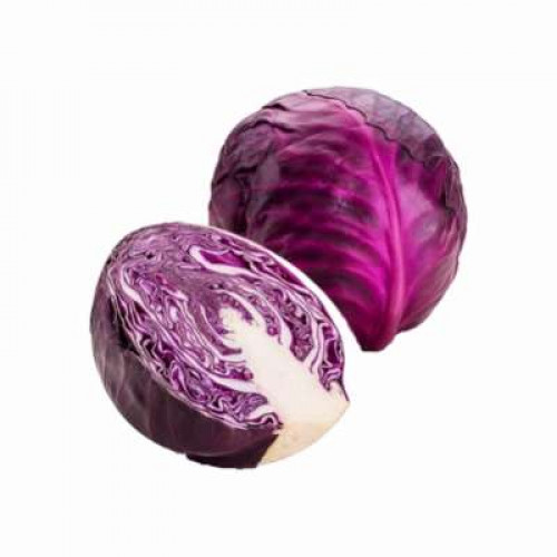 RED CABBAGE(900G-1KG)(FP)
