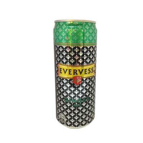 EVERVESS GINGER ALE 320ML