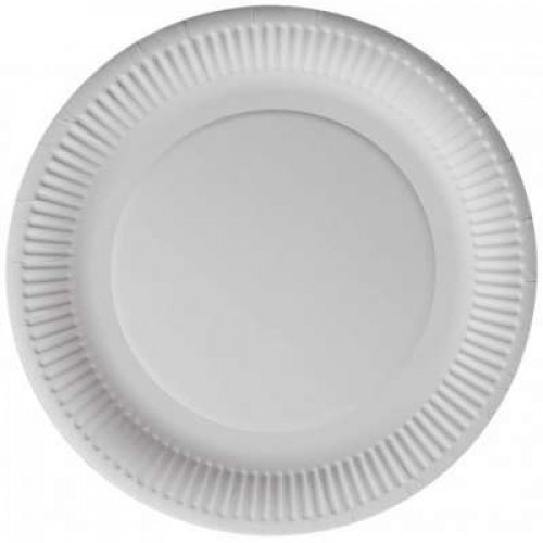 STEADY PAPER PLATE 9